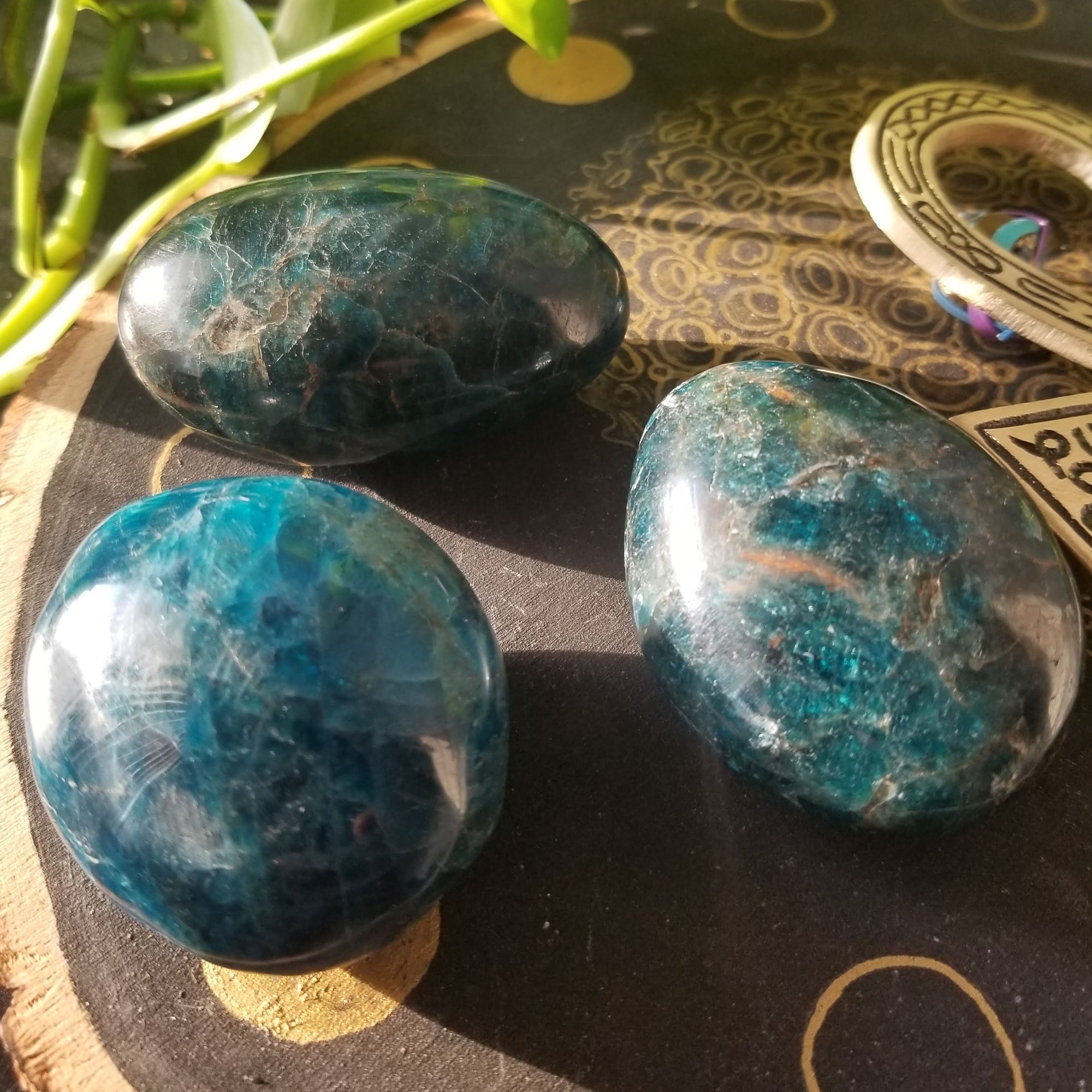 Blue Apatite Palmstone